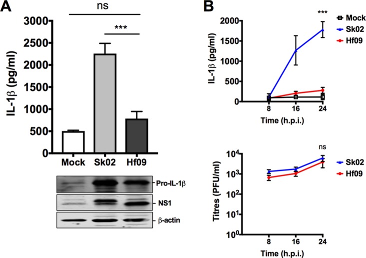 FIG 2