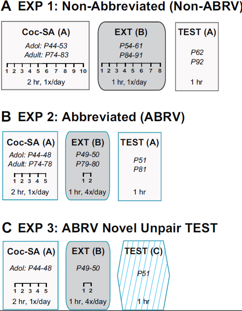 Figure 1: