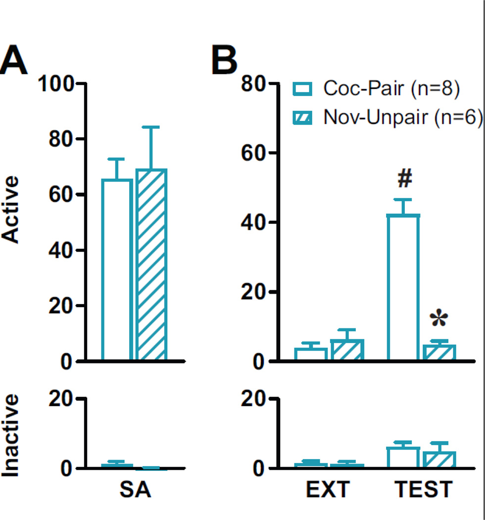 Figure 4: