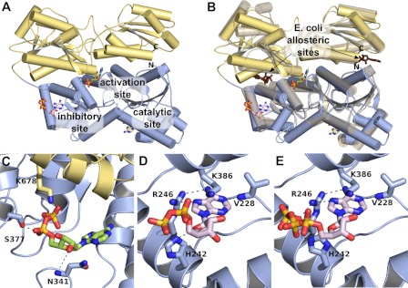 FIGURE 1.