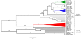 Figure 10