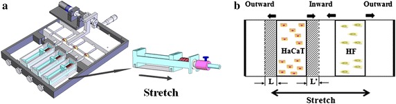 Fig. 1