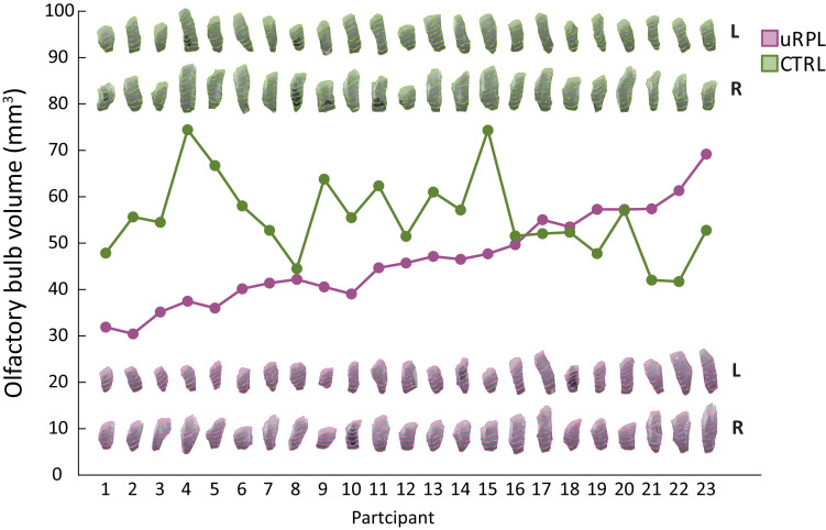 Figure 4—figure supplement 1.