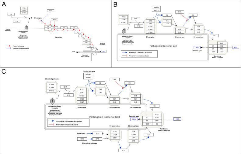 Fig 4