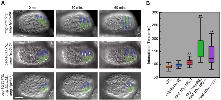 Fig. 3.