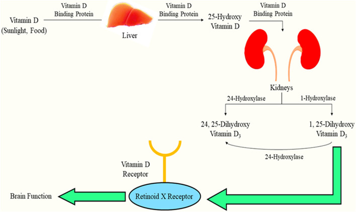 FIGURE 1