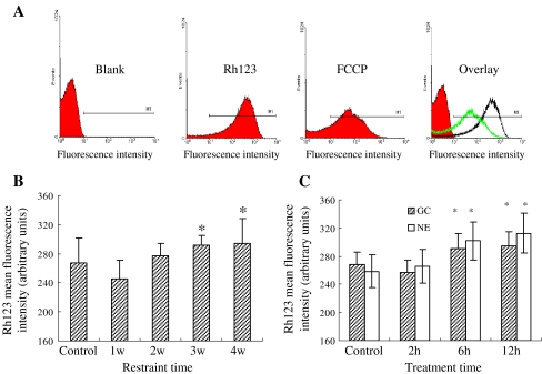 Fig. 2