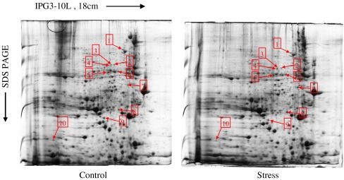 Fig. 3