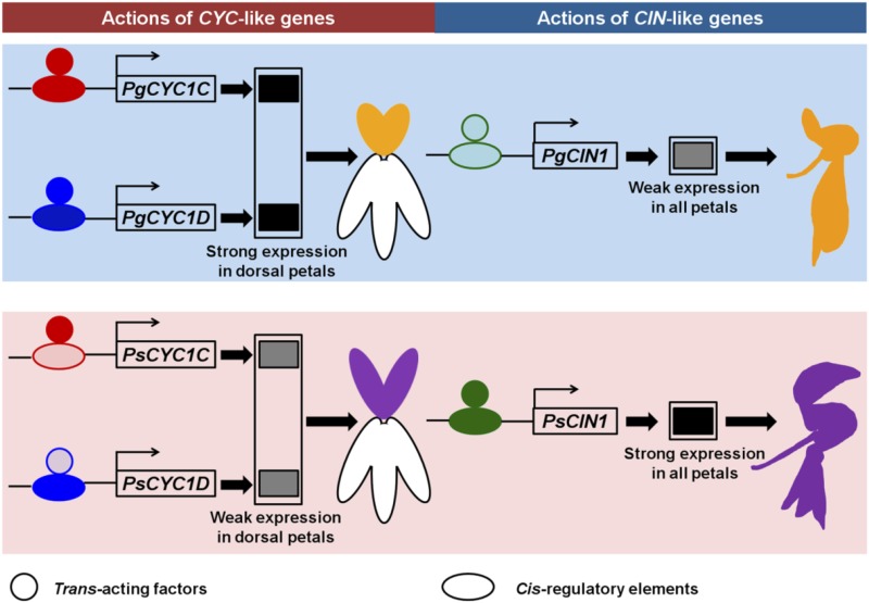 Figure 6.