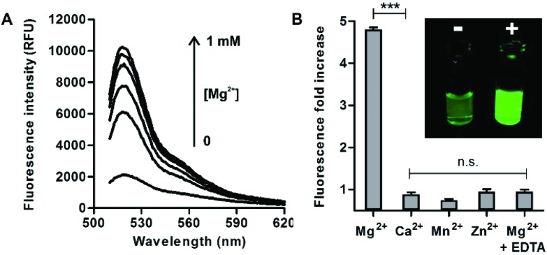 Fig. 2