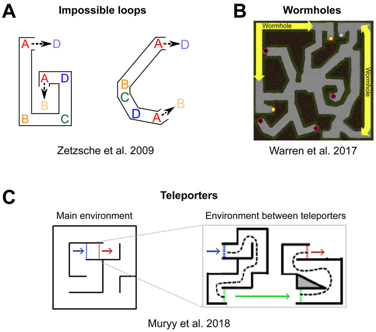 Figure 2: