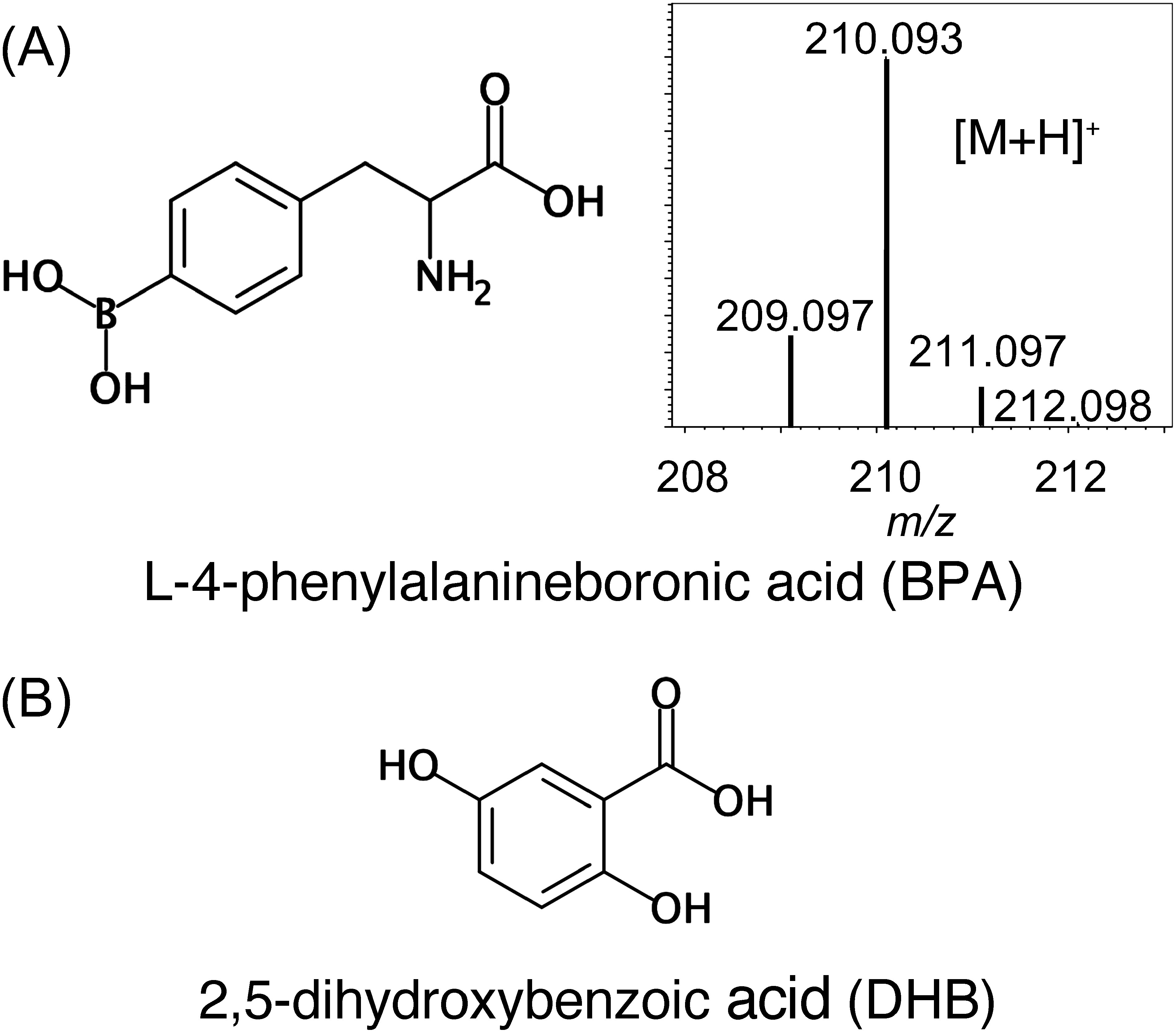 Fig. 1. (A) Chemical structure of BPA with the simulated mass spectrum and (B) chemical structure of matrix DHB.