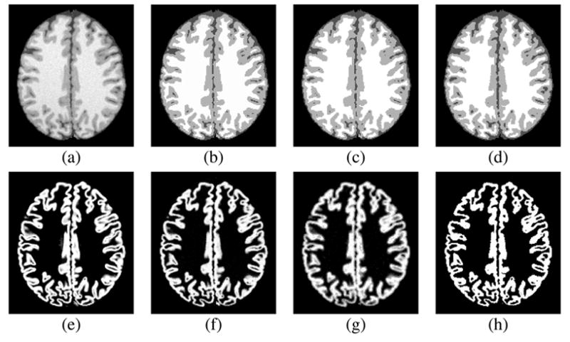 Fig. 8