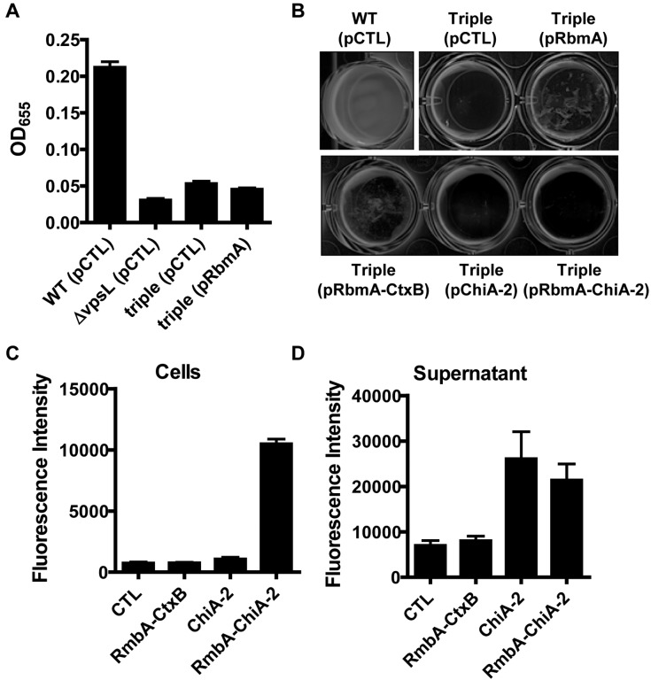 FIG 2 