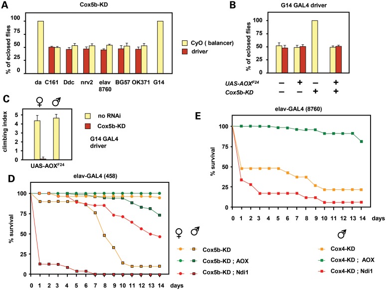 Figure 4.