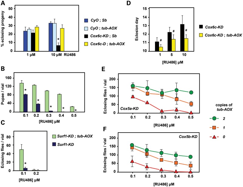 Figure 2.