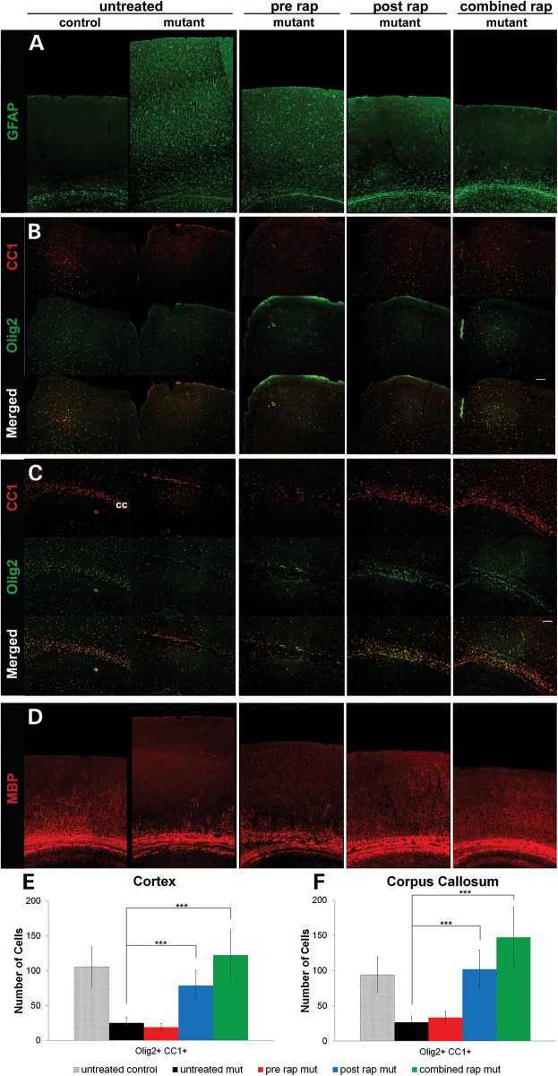 Figure 4.