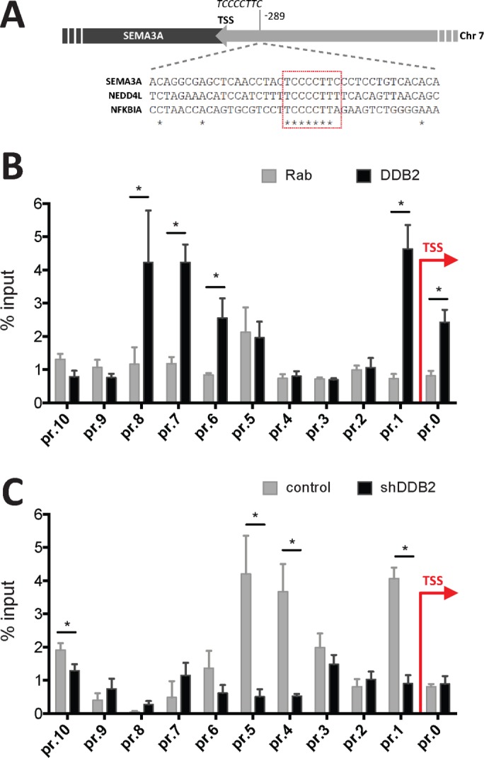 FIGURE 6: