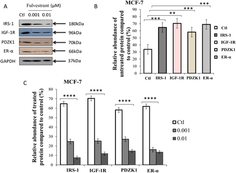 Fig 13