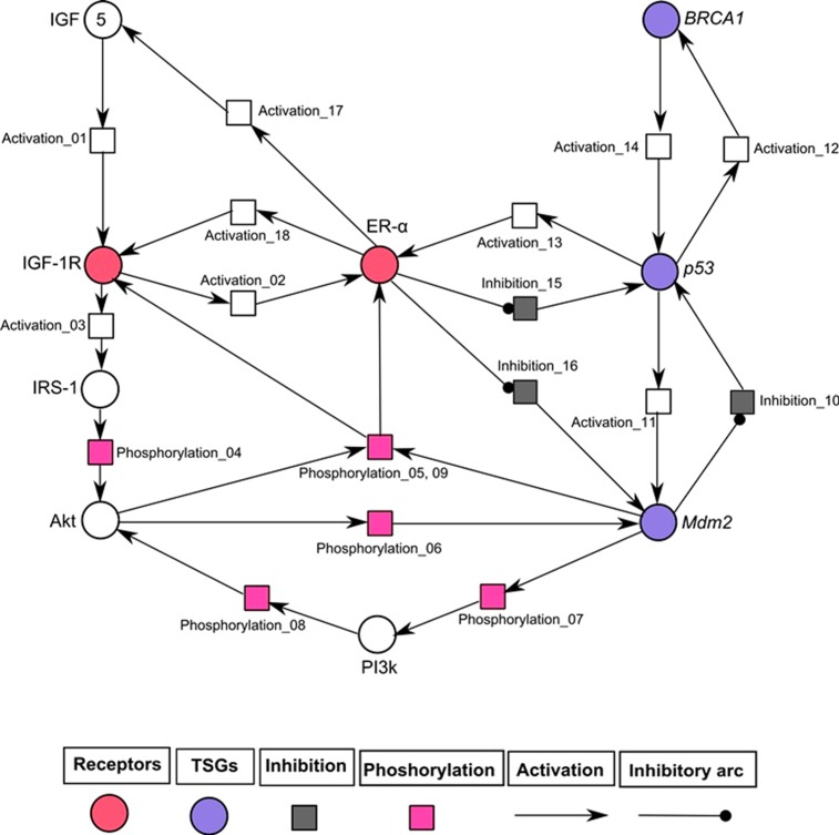 Fig 6