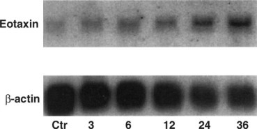 Fig. 83.2