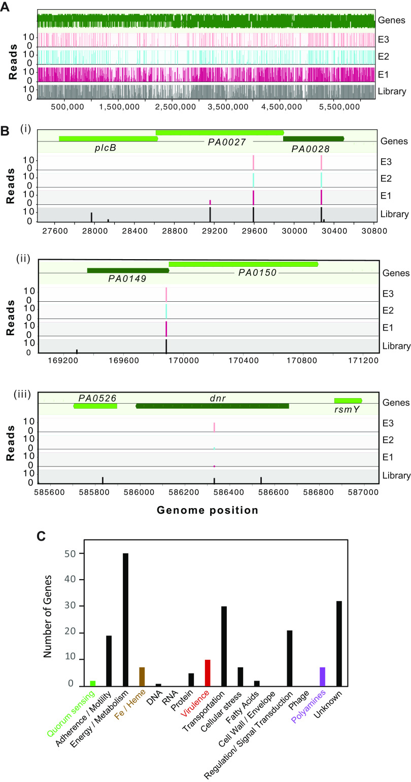 FIG 3