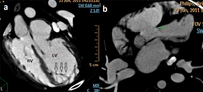 Figure 3