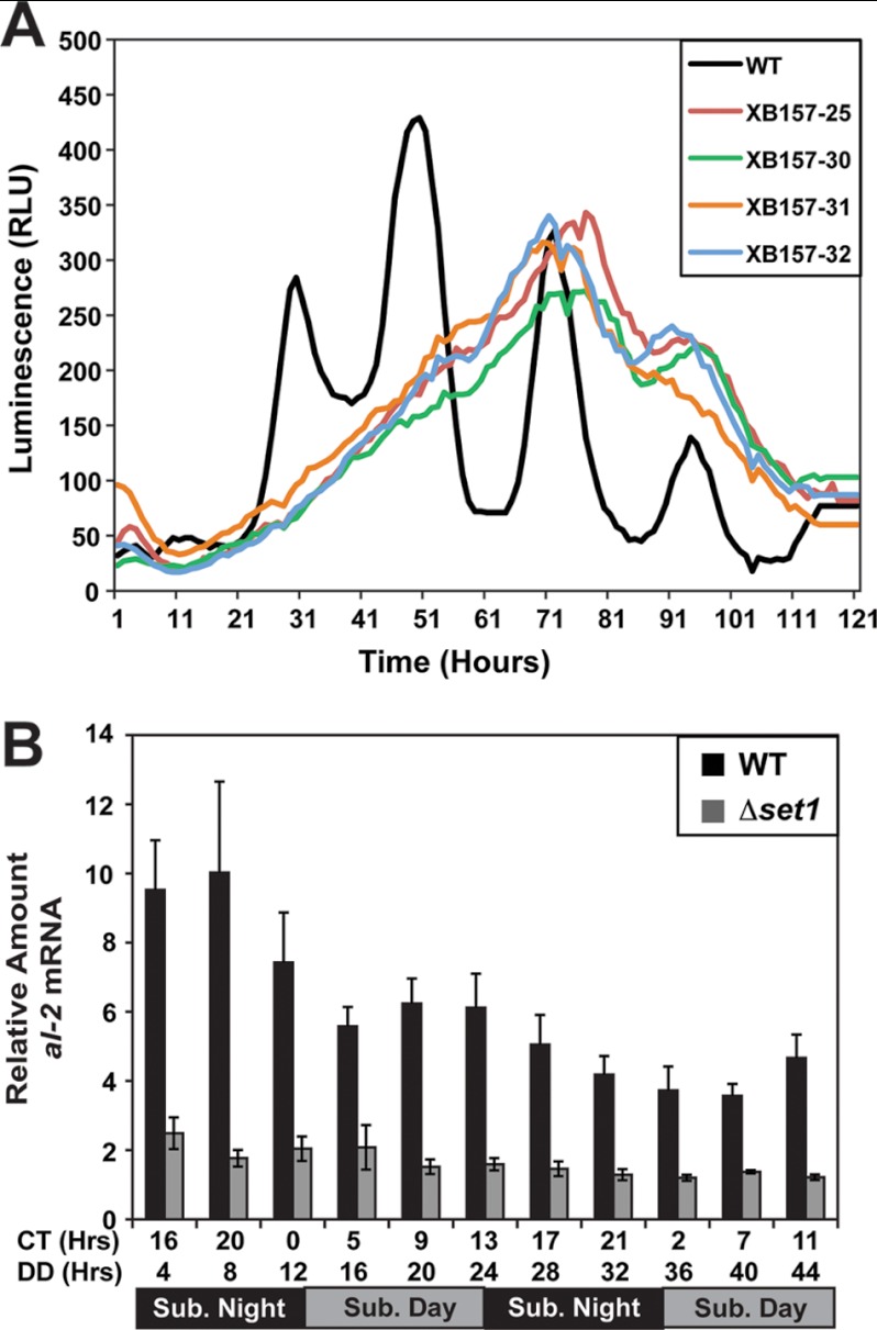 FIGURE 2.