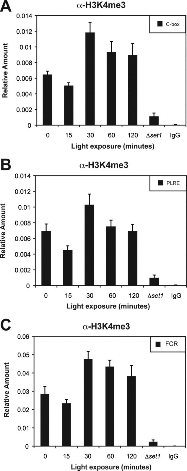 FIGURE 6.