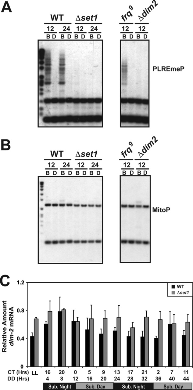 FIGURE 7.