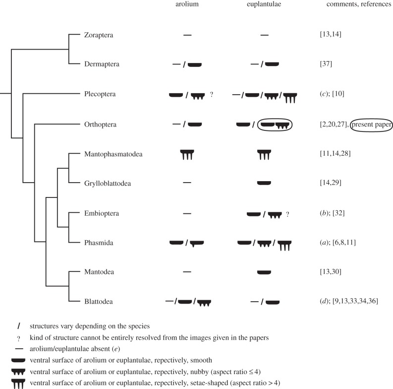 Figure 2.