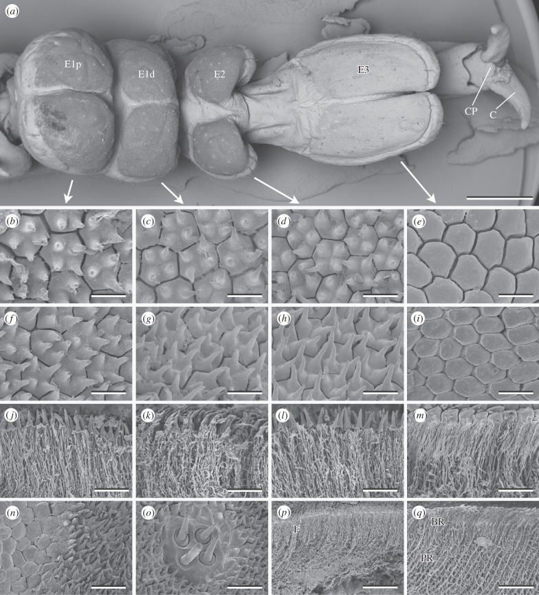 Figure 1.