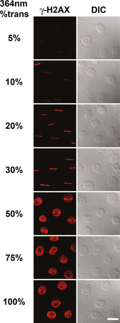 Fig. 9.2.