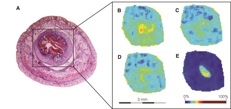 Fig. 4.