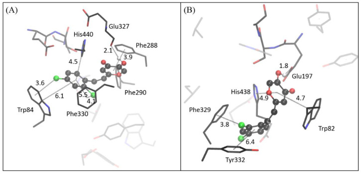 Figure 10