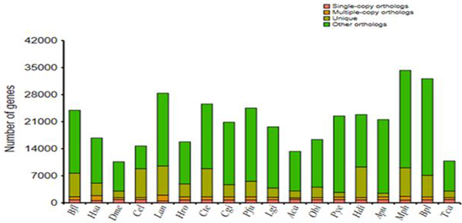 Figure 2: