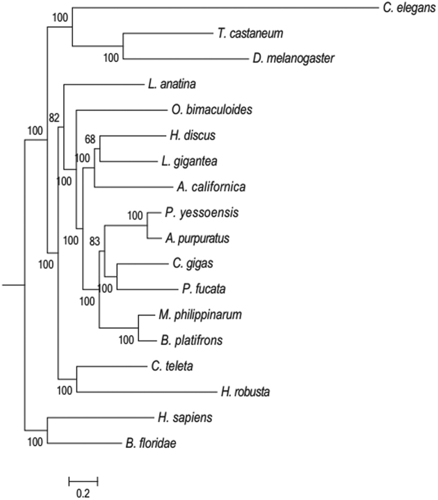 Figure 3: