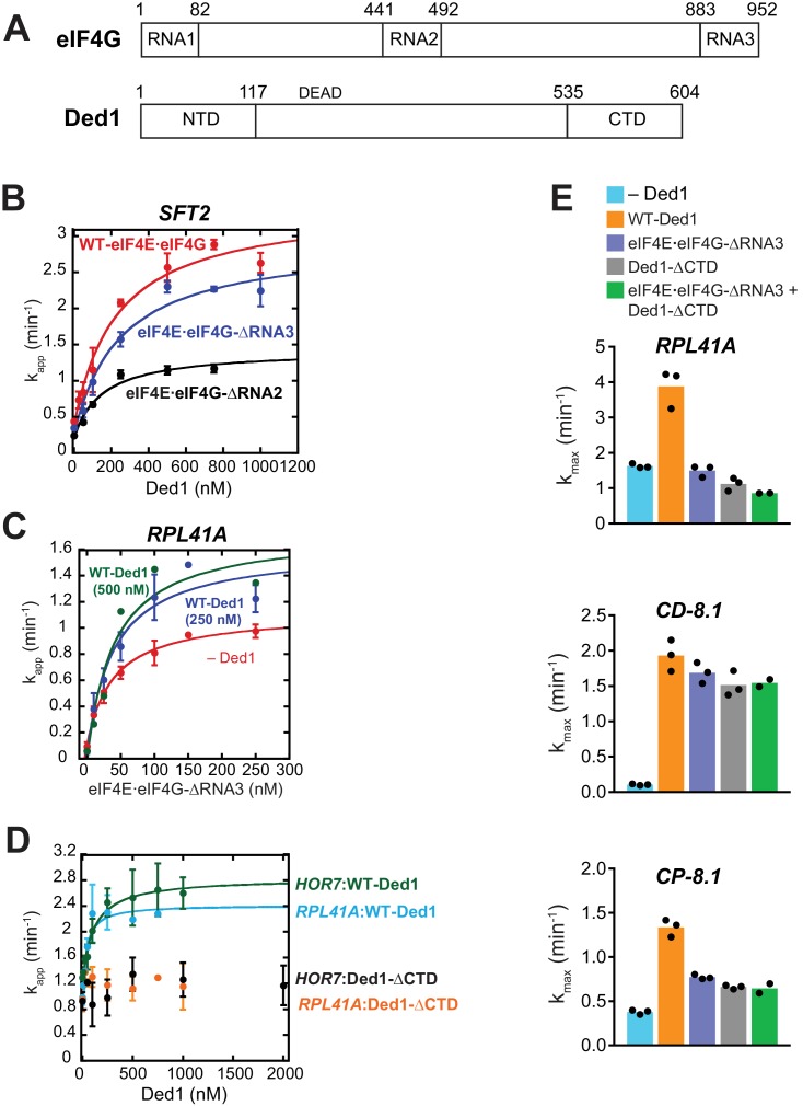 Figure 4—figure supplement 1.