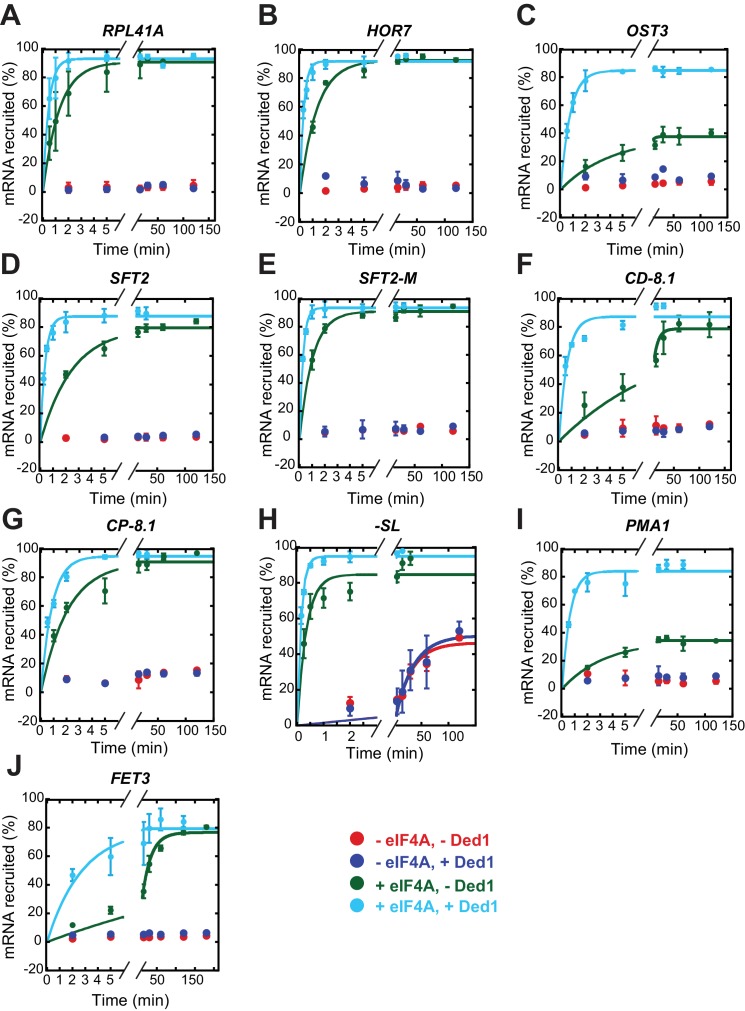 Figure 3—figure supplement 1.