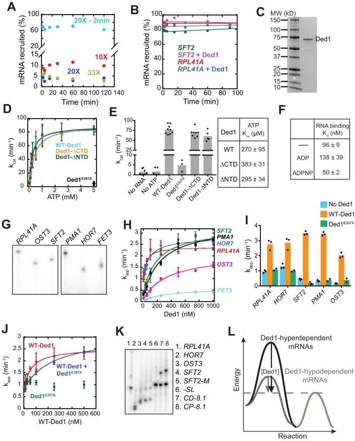 Figure 1—figure supplement 1.