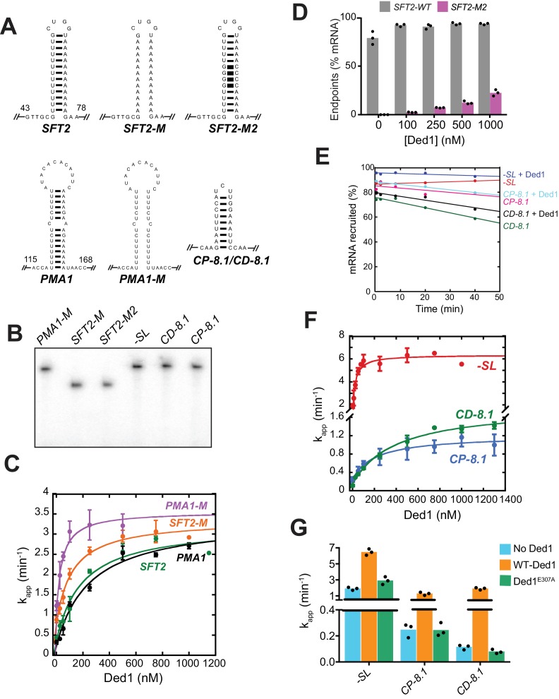 Figure 2—figure supplement 1.