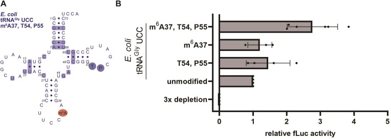 Figure 6.