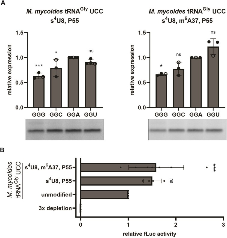 Figure 5.