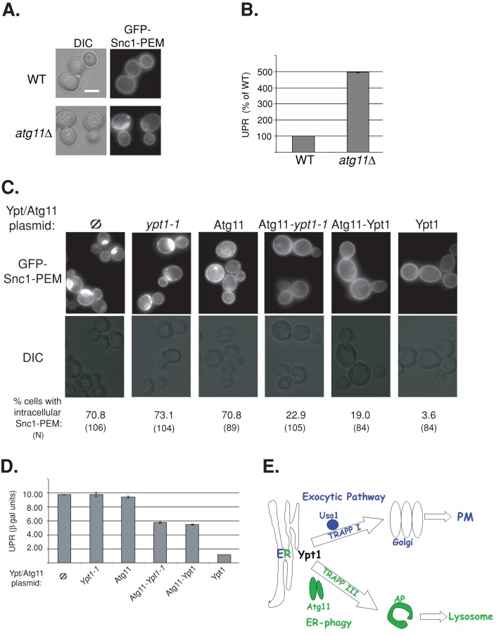 FIGURE 10: