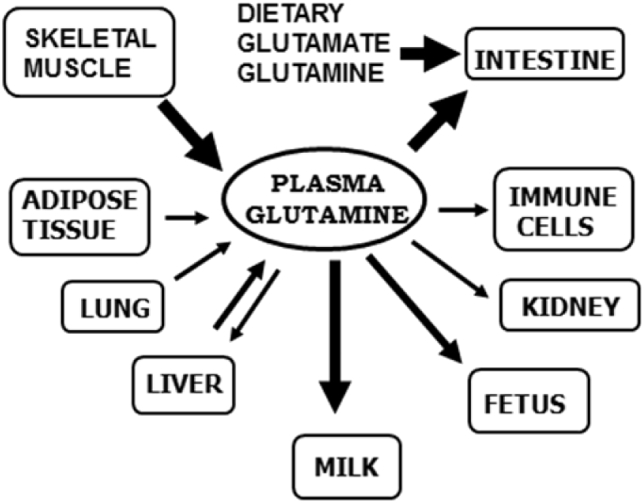 Fig. 3