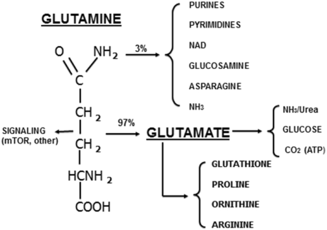 Fig. 2