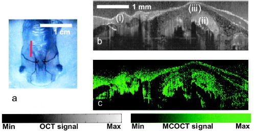 Fig. 3