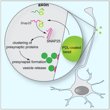 graphic file with name nihms904471u1.jpg