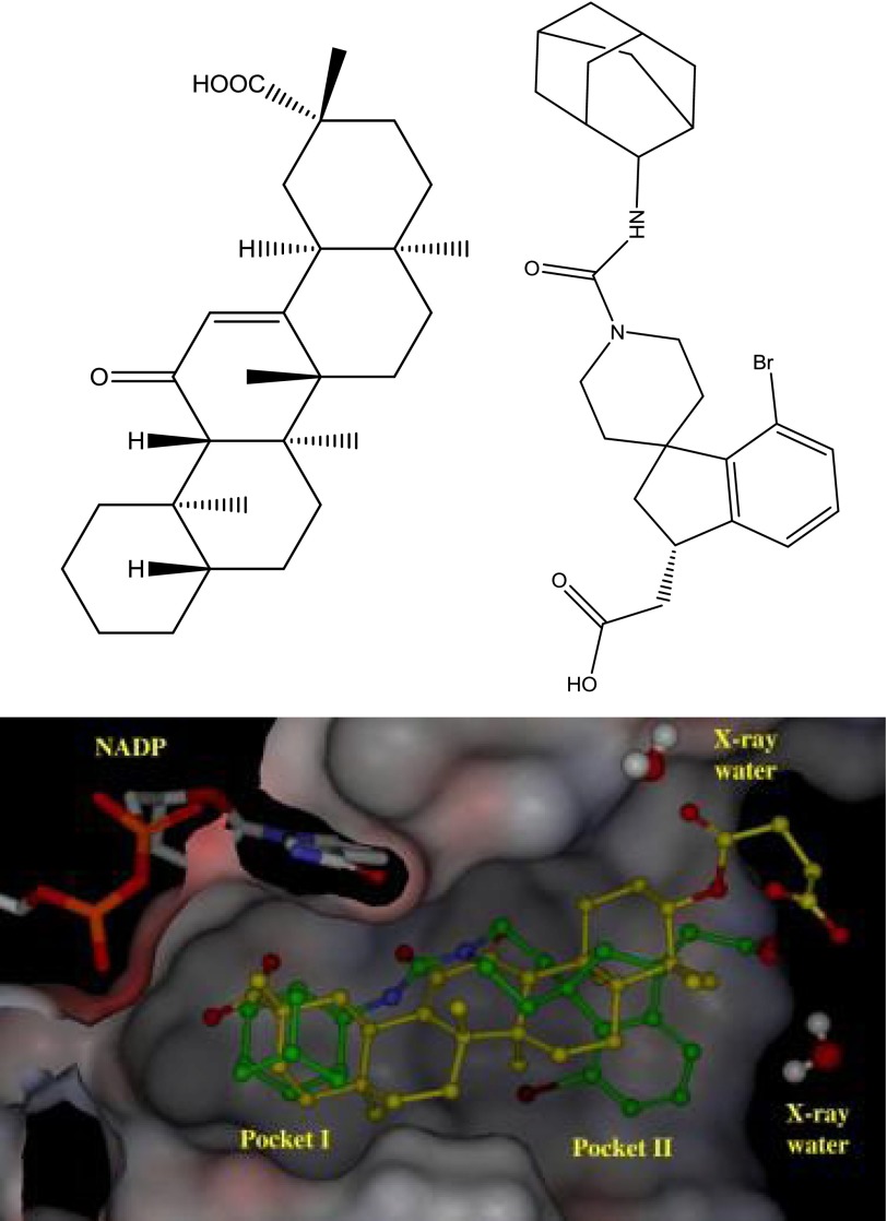 Fig. 10.