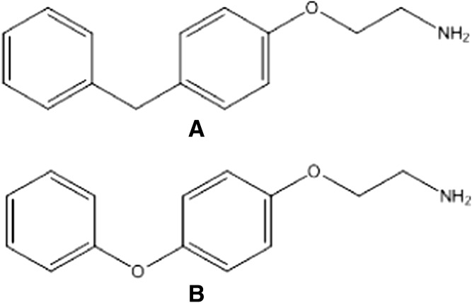 Fig. 13.